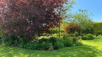 Chalet | Pemandangan dari properti