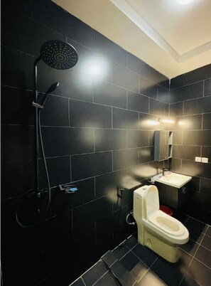 Bathroom features a rain showerhead, handheld showerhead, toilet, and sink with a mirror.