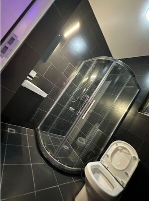 Experience a sleek bathroom with a large curved shower enclosure and a white toilet positioned against dark, glossy tiles.