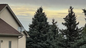 A residential area with a house, a well-maintained lawn, and several large evergreen trees. -  Cozy Fairway Retreat - Near Ski, Golf & Town (Red Lodge)