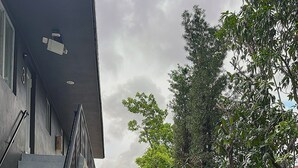 Una reja negra con la señalización "WYNNWOOD FLATS" y "UNITS 1&2", una escalera y un fondo de árboles.