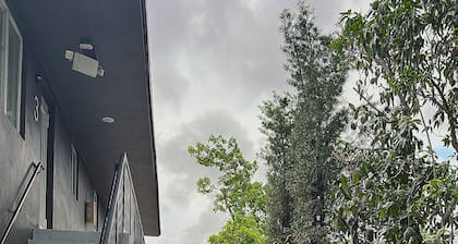 Wynwood Bungalows By Renzzi