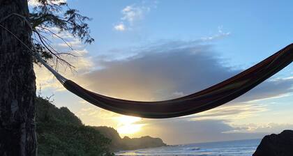 Aloha Vibes Road to Hana explorer