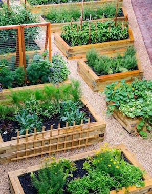 Jardines del alojamiento