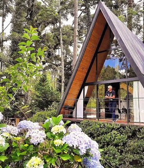 A modern house with a triangular roof, large windows, and a person standing inside.