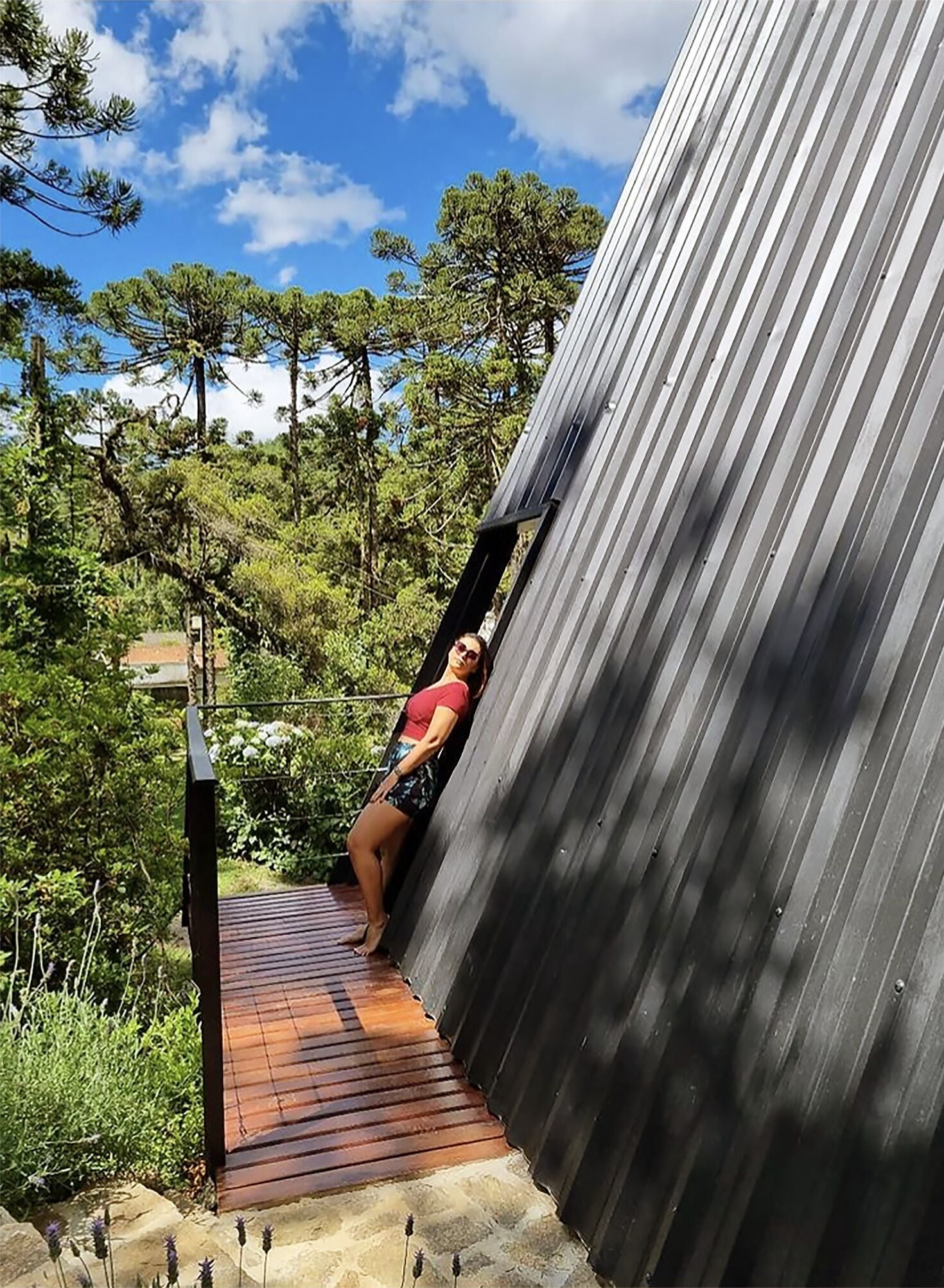 Área da propriedade