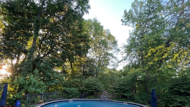 A circular swimming pool surrounded by stone tiles, with lounge chairs and umbrellas, set in a wooded area.