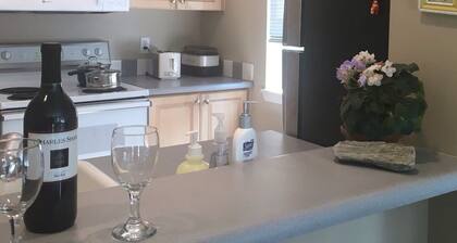 Private comfy condo, AC in adorable Bellevue