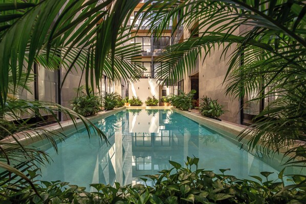 Garden - Luxury Apartment 1BR in Playa Del Carmen (Playa del Carmen)