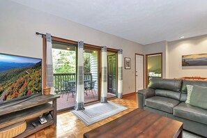 Télévision, cheminée, table de tennis de table, livres