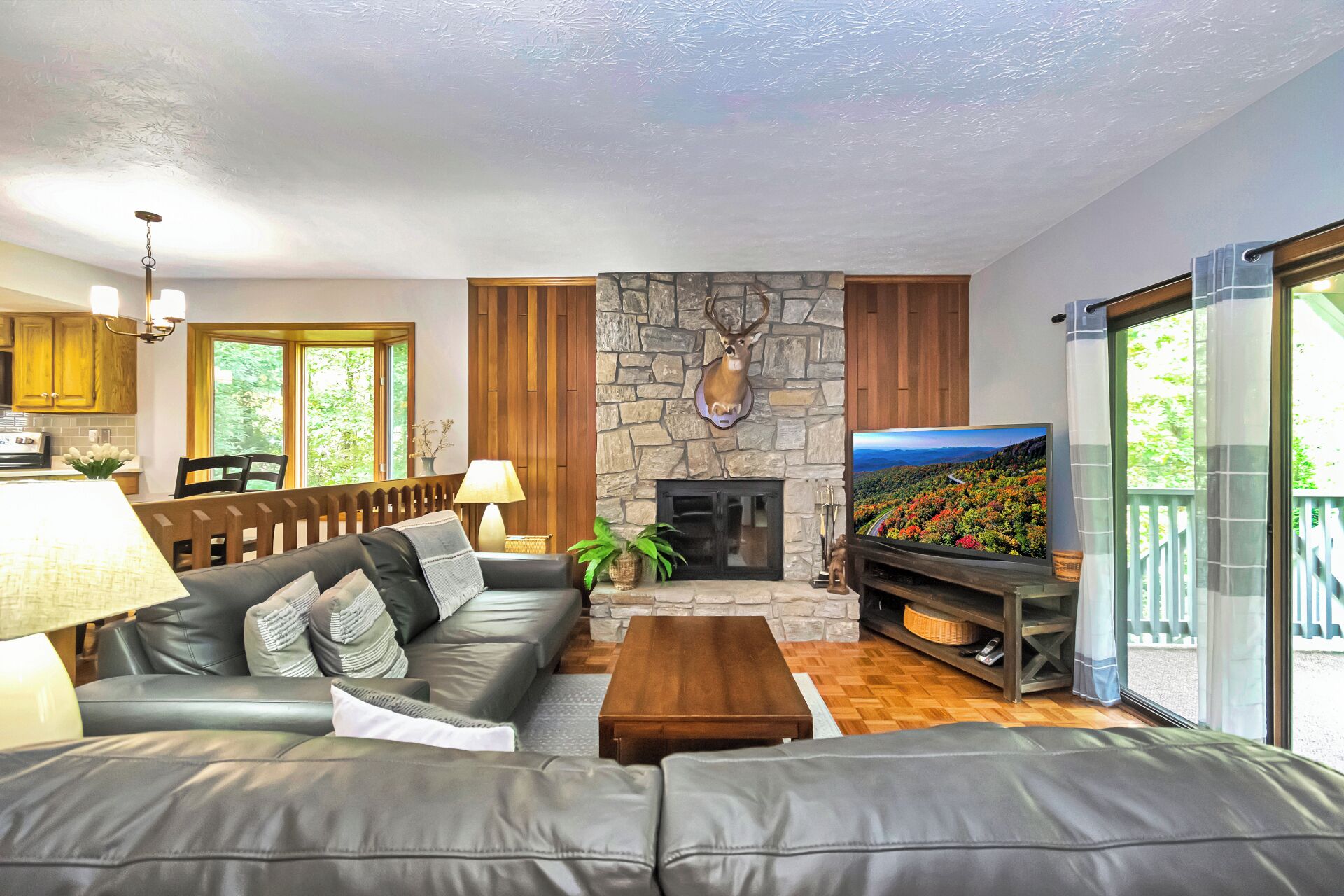 TV, fireplace, table tennis, books