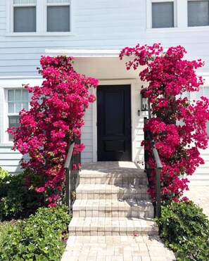 Detalle del exterior