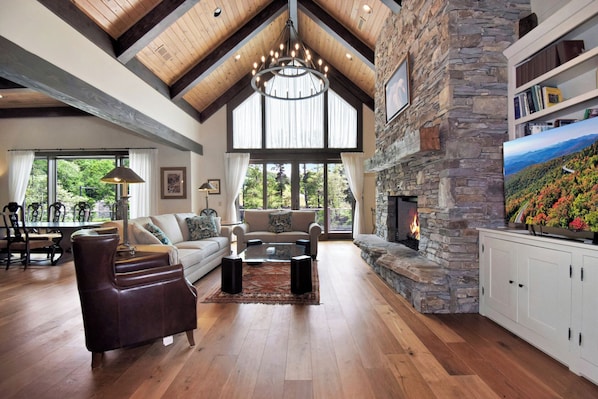 TV, fireplace, ping pong, books