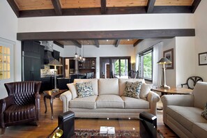 Televisio, takka, pöytätennispöytä, kirjoja