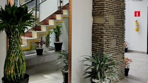 A staircase with a modern design, flanked by potted plants and a decorative mirror. - Hotel Villanueva Comfort (Medellín)