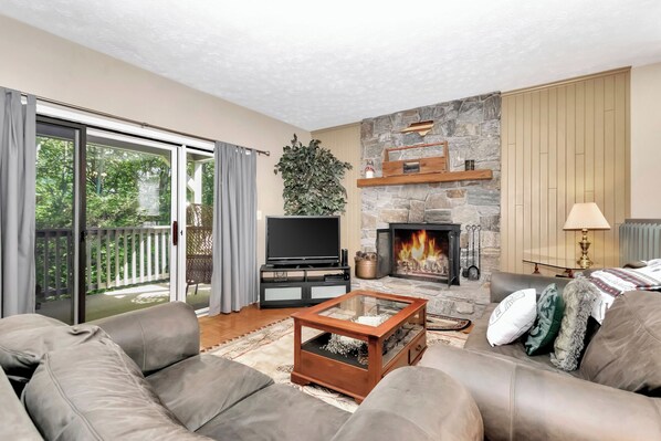 TV, fireplace, table tennis, books