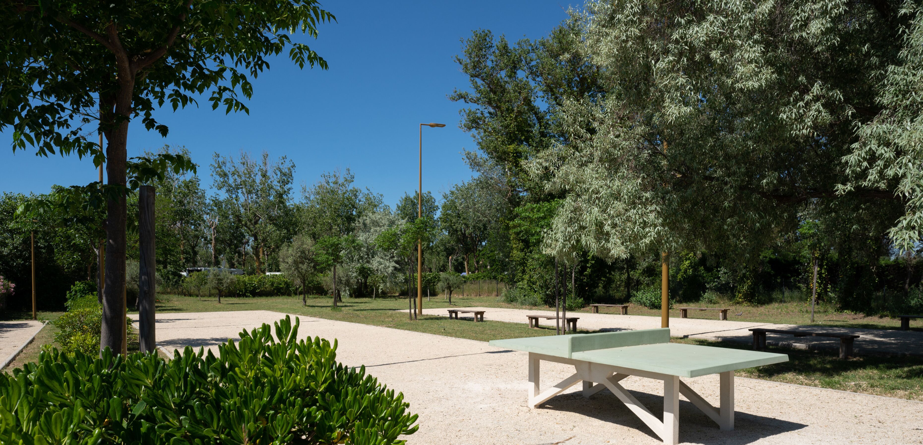 Un parco con tavoli da picnic e panchine, circondato da vegetazione e alberi.