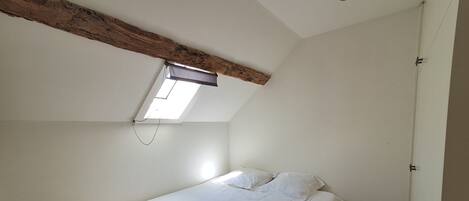 A small, single-bed room with a sloped ceiling and a skylight.