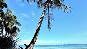 Un tavolo sulla spiaggia con una tovaglia a righe, un piatto di cibo e una palma sullo sfondo.