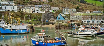 Cottage in Mevagissey Near Harbor & Beaches