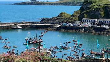 Cottage | View from property