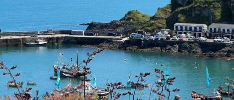 Cottage | View from property