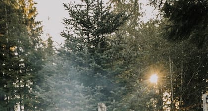 Upgrade your camping experience!