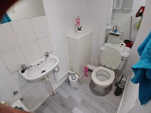 ヘアドライヤー、タオル、トイレットペーパー