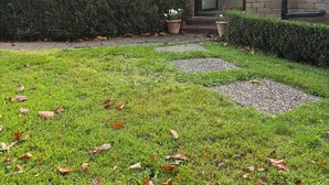A residential building with a brick facade, a glass door entrance, and a well-maintained lawn with scattered leaves.