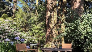 A wooden table and chairs set outdoors with a view of tall trees and lush greenery.