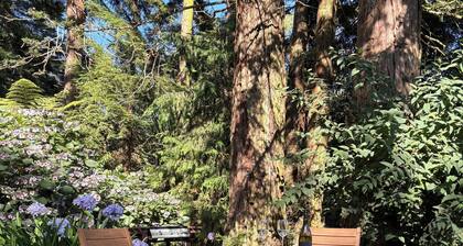 Delightful studio set in Rural Waikato, 20 mins from Cambridge