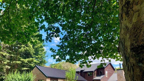 A two-story house with a brick facade and a dark metal roof, surrounded by lush greenery and trees.
