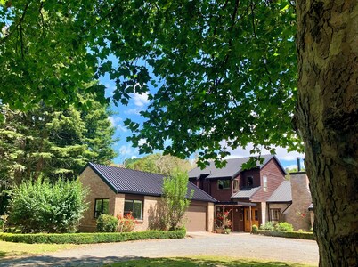 Delightful studio set in Rural Waikato, 20 mins from Cambridge