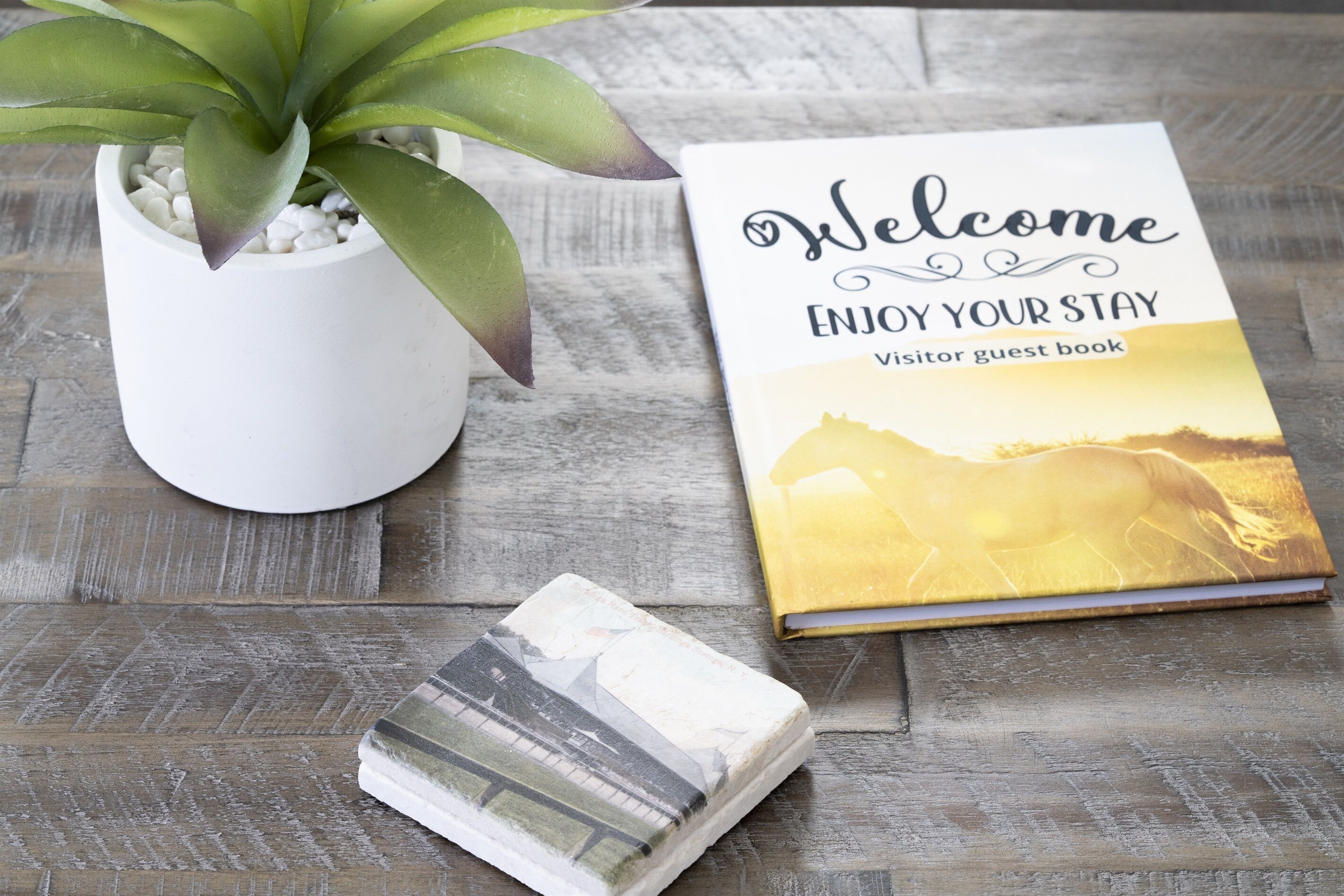 A welcome book, a potted plant, and a stack of brochures on a wooden surface.