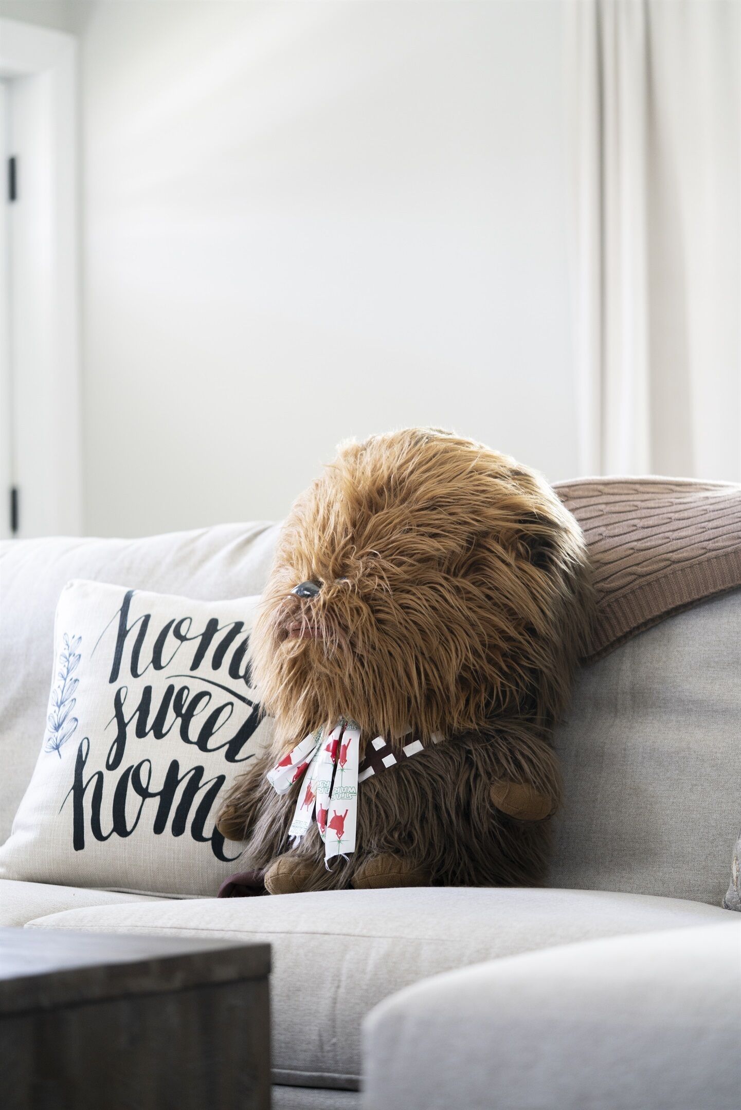 Een klein hondje zit op een bank met een kussen waarop staat: 'thuis is het fijnste thuis'.