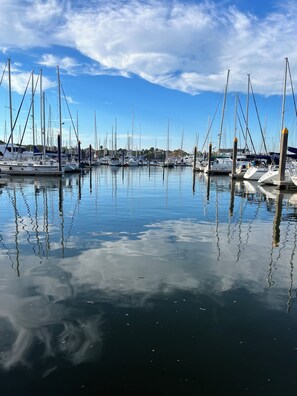 Boats docked at the marina, offering serene views of the surrounding waters.