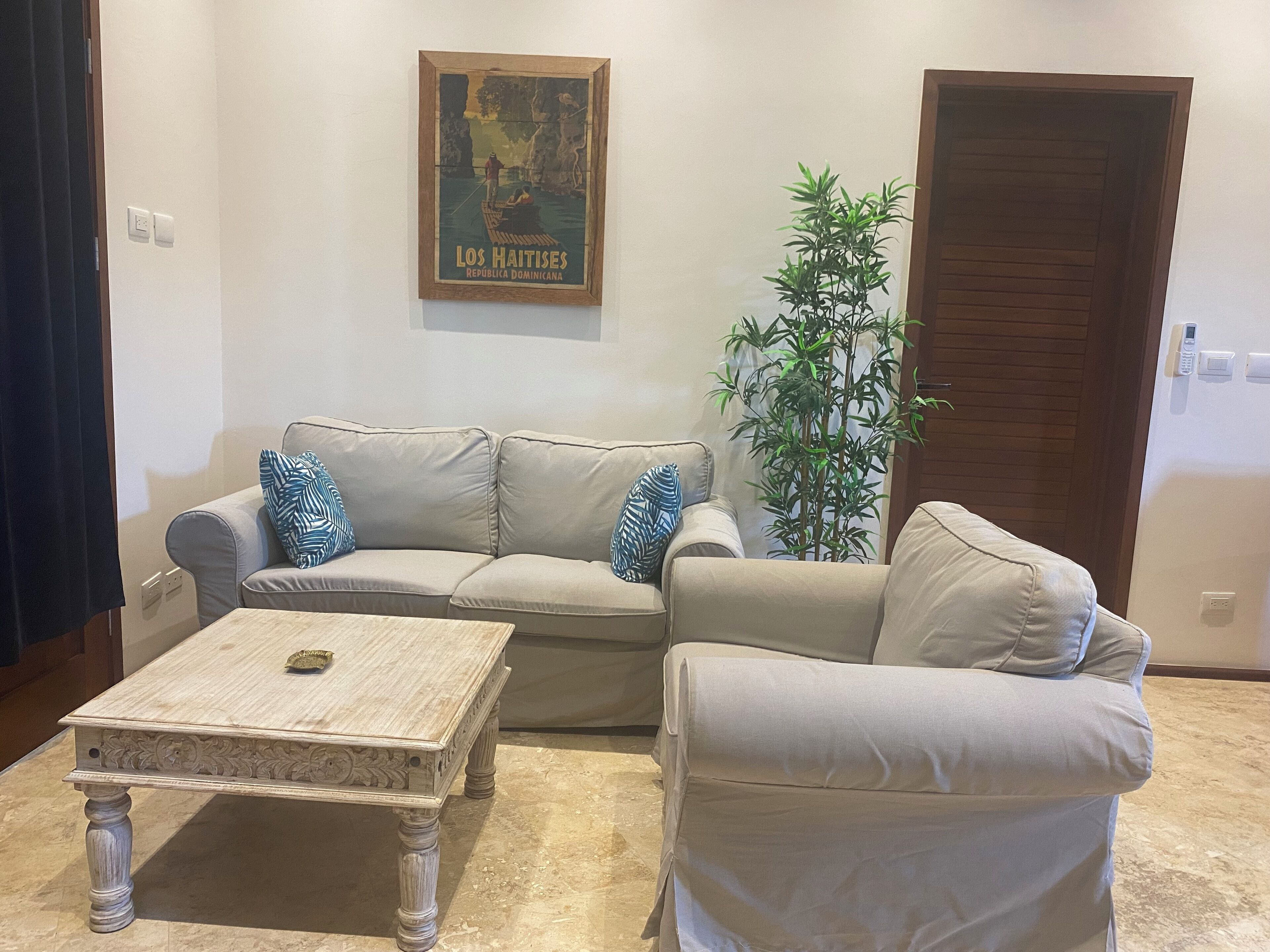 A living room with a beige sofa, two patterned pillows, a wooden coffee table, a bamboo plant, and a door.