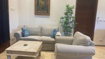 A living room with a beige sofa, two patterned pillows, a wooden coffee table, a bamboo plant, and a door.