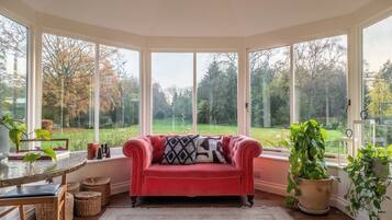 TV, fireplace, stereo