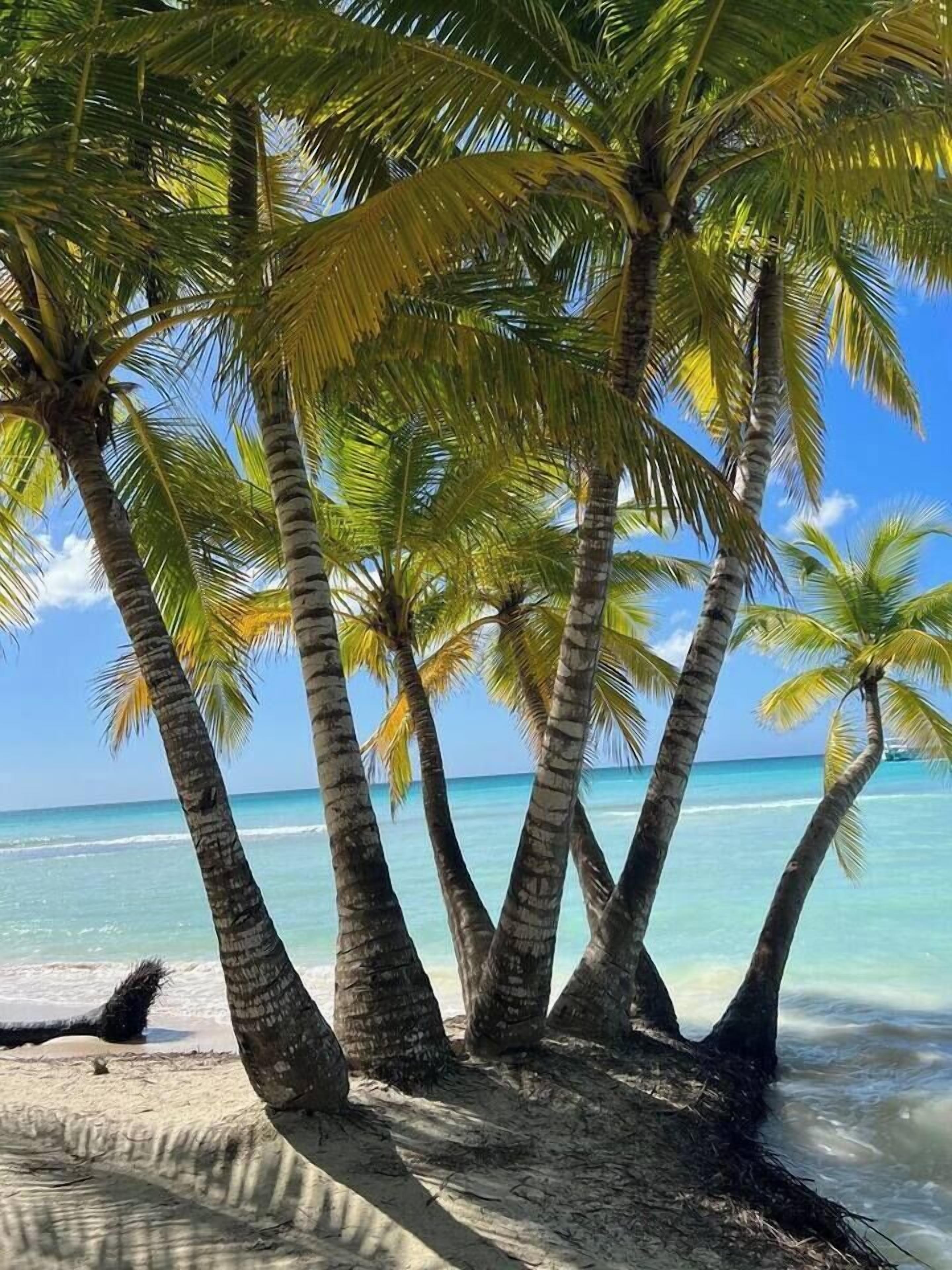 On the beach, sun-loungers, beach towels