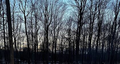 Clearfield Co Rockton PA - Cabin Escape