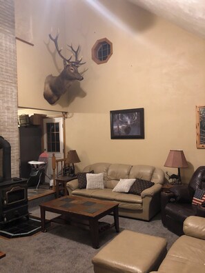 Una televisión, una chimenea, videojuegos, un reproductor de DVD