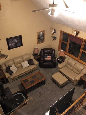 Televisor, llar de foc, videojocs i reproductor de DVD