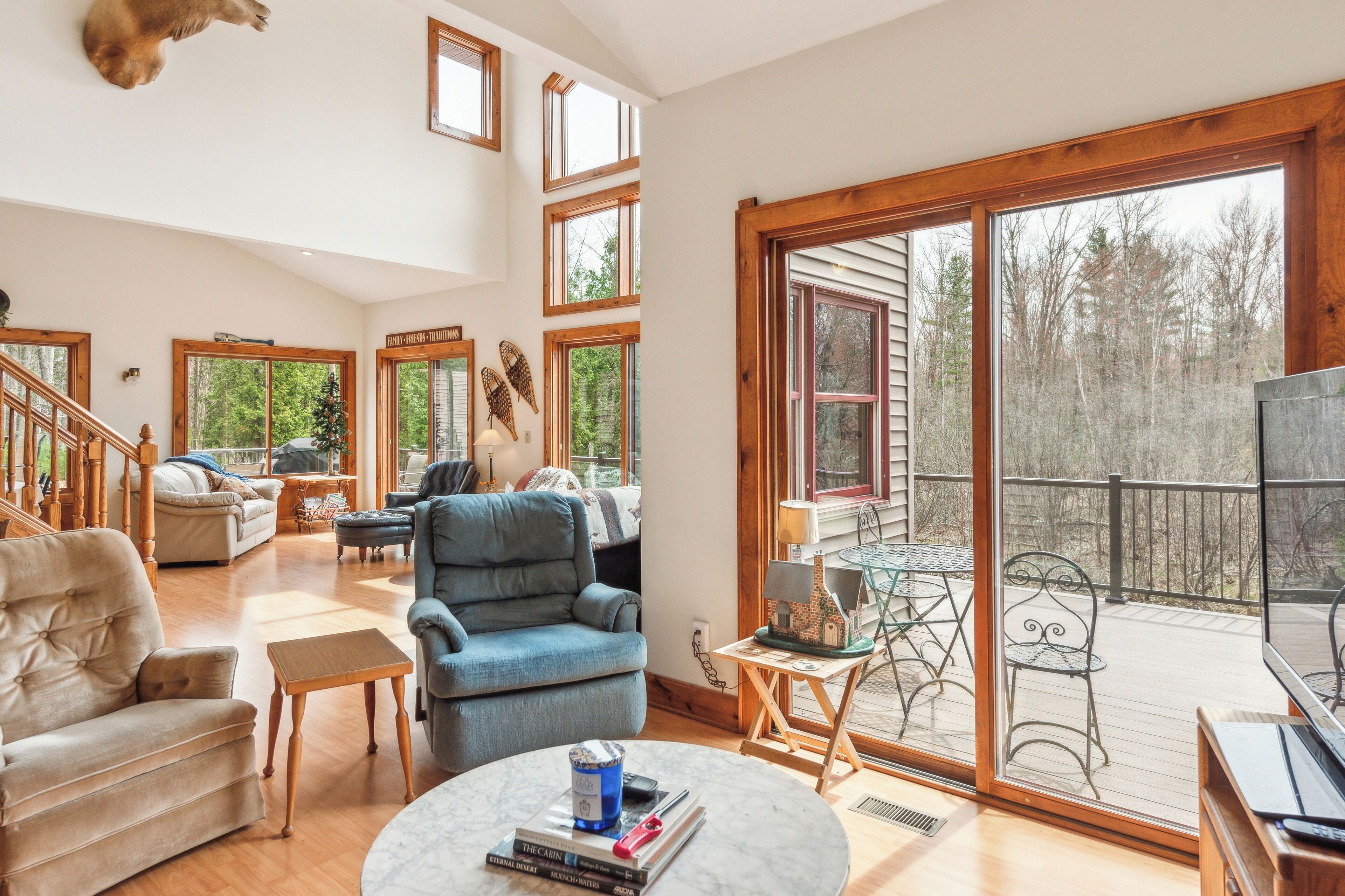 Televisión, chimenea, libros