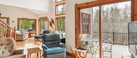 Televisie, een open haard en boeken