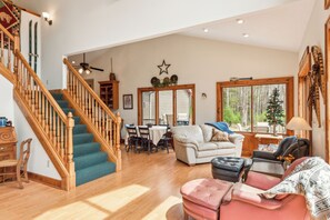 Televisión, chimenea, libros