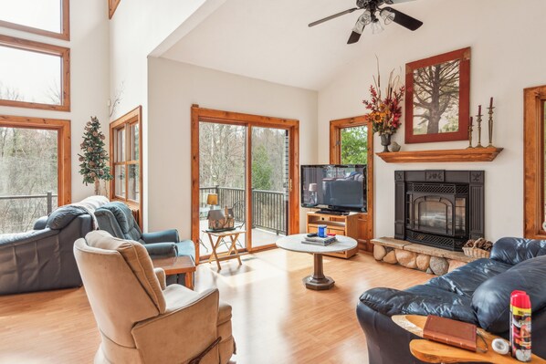 TV, fireplace, books