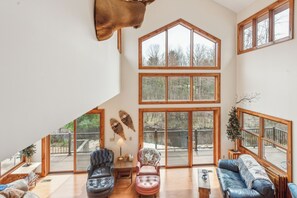 Televisión, chimenea, libros