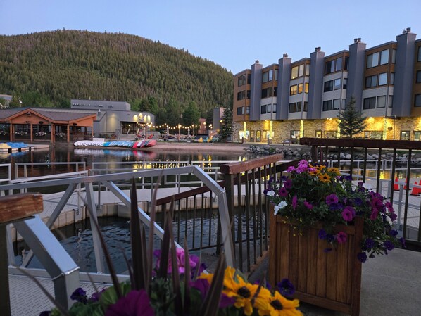 テラス / パティオ