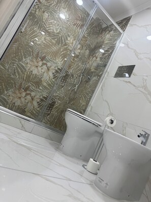 Regadera, secadora de cabello, bidet, toallas